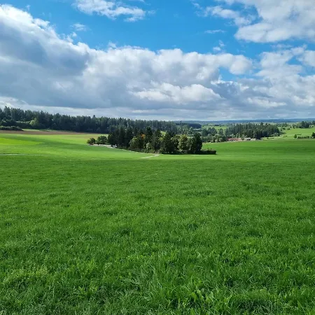 Schoene 2-Zimmer Ferienwohnung Löffingen Esterno foto